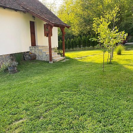 Rudnicki Eko Breg Villa Rudnik Ngoại thất bức ảnh