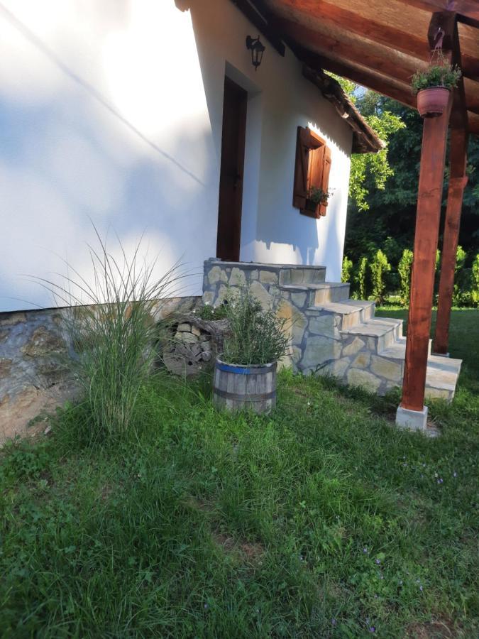 Rudnicki Eko Breg Villa Rudnik Ngoại thất bức ảnh